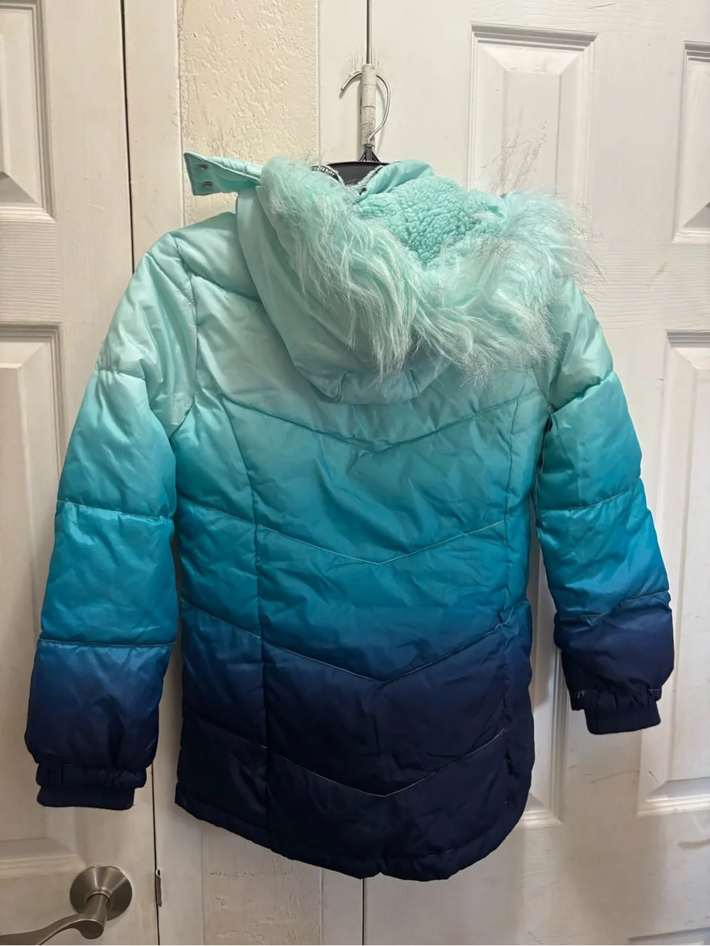 Justice ombre puffer